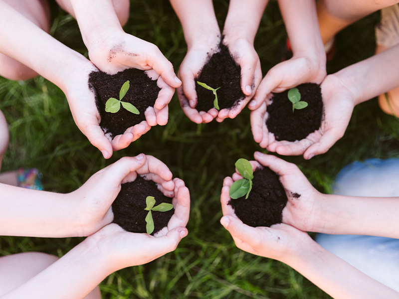 Você sabe a diferença entre um filamento sustentável e um de origem renovável?